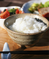 魚沼こしひかり 検査
